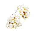 Pearl Oval Glass Crystal Cluster Earrings
