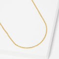 Gold Dipped Metal Chain Necklace