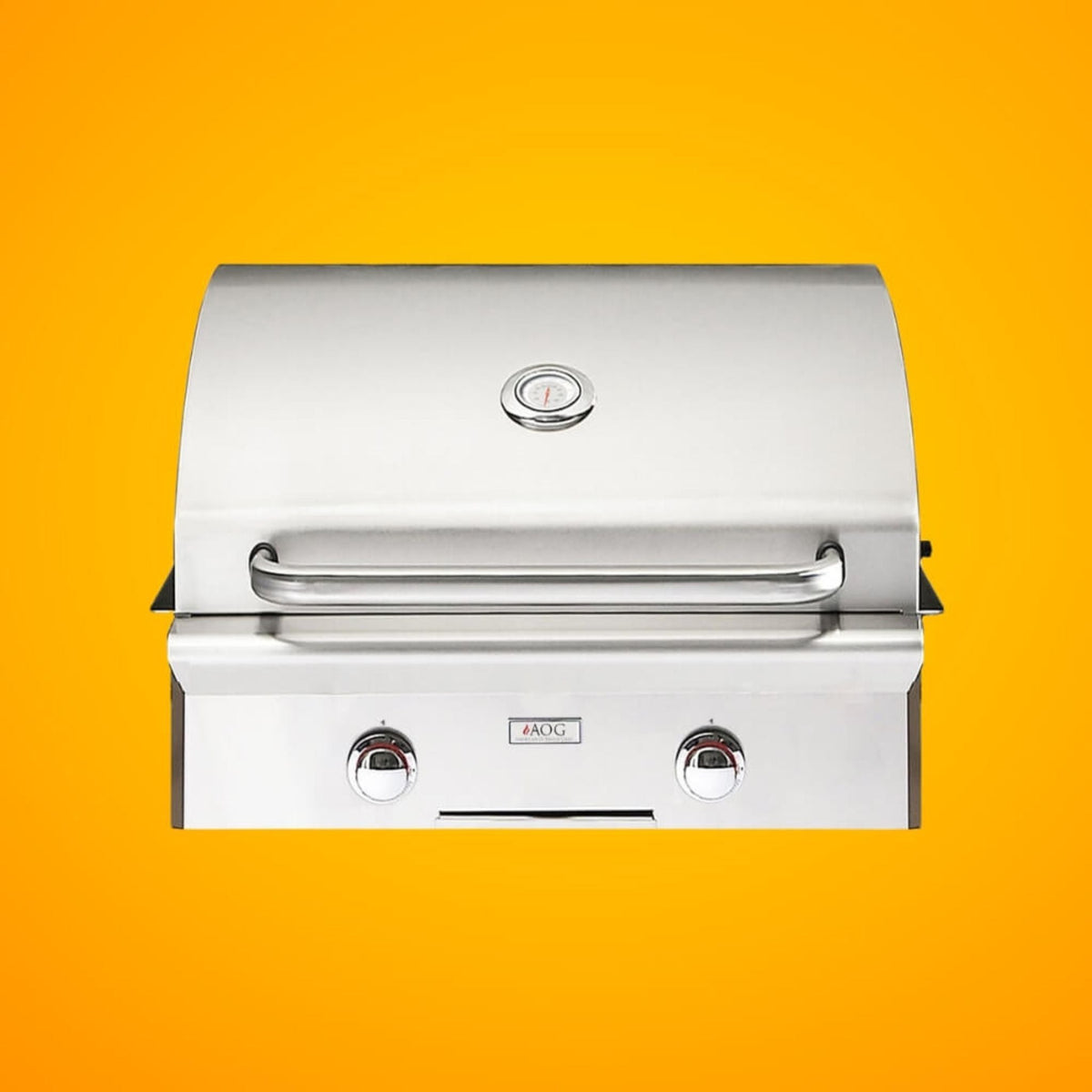 American Outdoor Grill L-Series 24-Inch 2-Burner Built-In Natural Gas Grill [24NBL-00SP] (SAK10834)